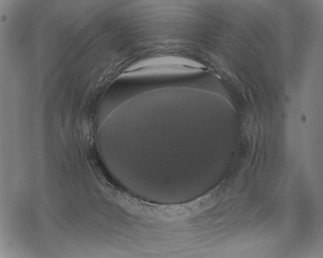 X0000071770031200607211543