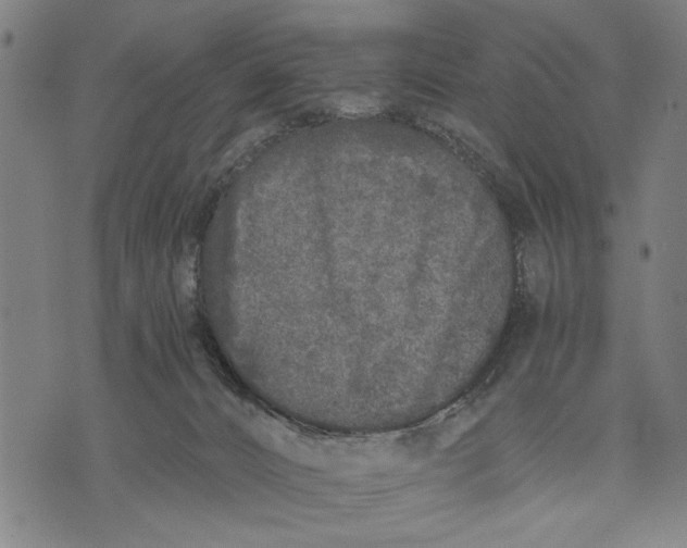 X0000071770032200607211543