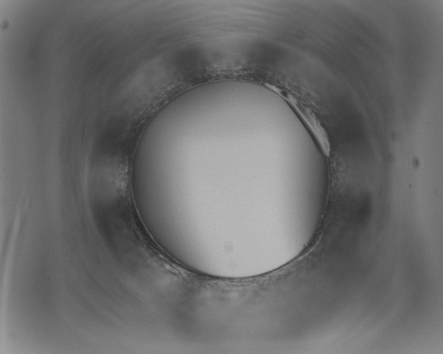 X0000071770033200607211543