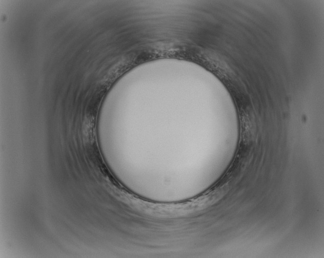 X0000071770034200607211543