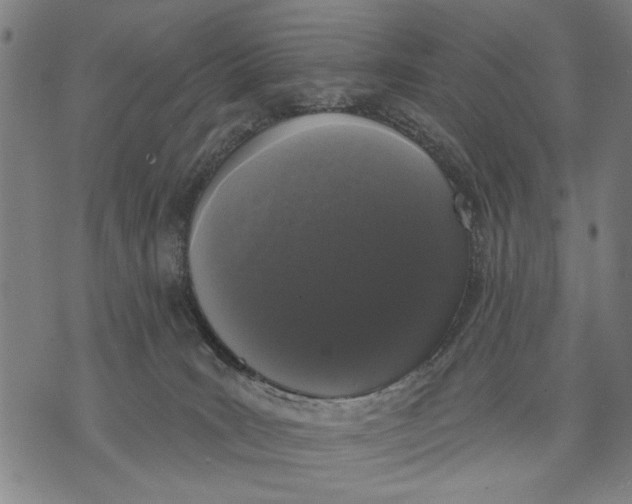 X0000071770035200607211543