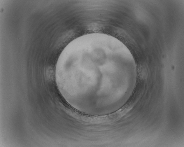 X0000071770036200607211543