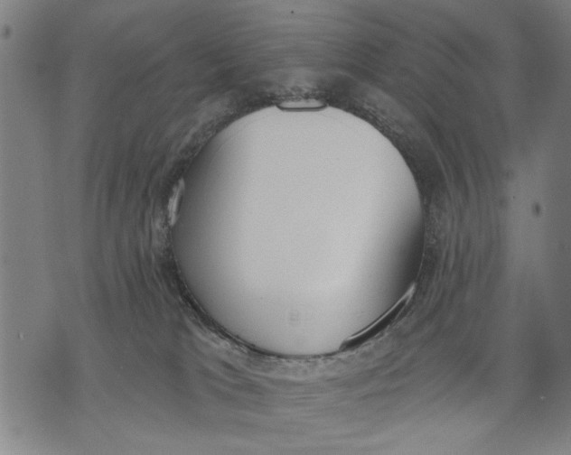 X0000071770037200607211543