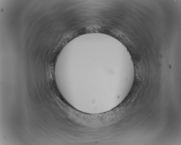 X0000071770038200607211543