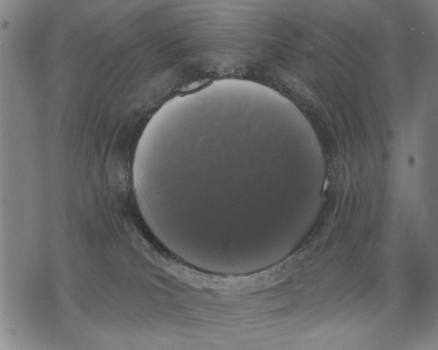 X0000071770039200607211543