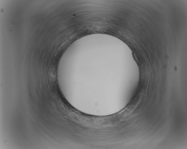 X0000071770040200607211543