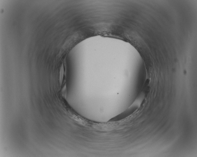 X0000071770041200607211543