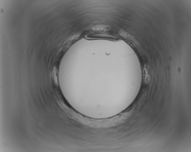 X0000071770042200607211543