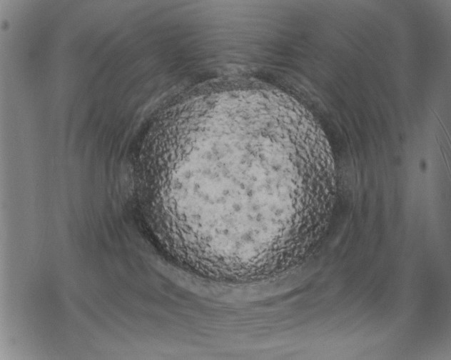 X0000071770043200607211543