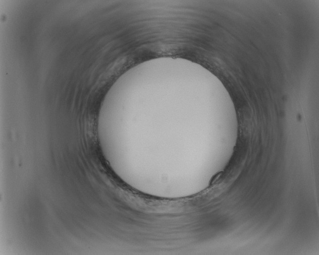 X0000071770044200607211543