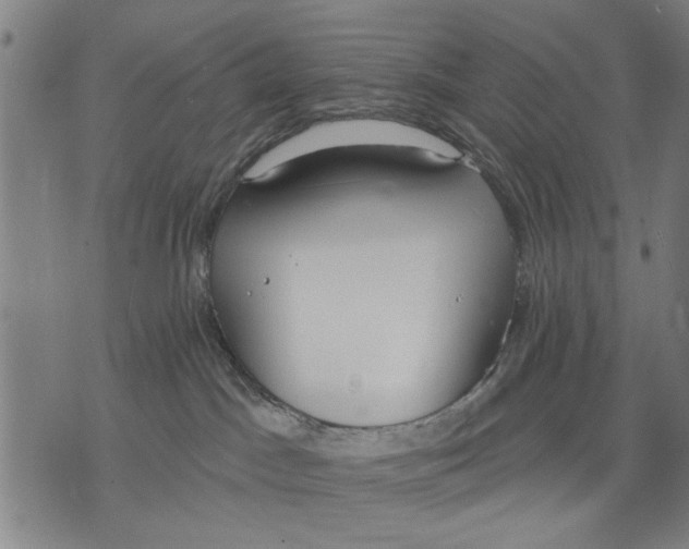 X0000071770045200607211543