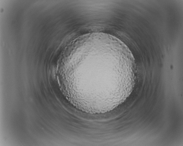 X0000071770046200607211543