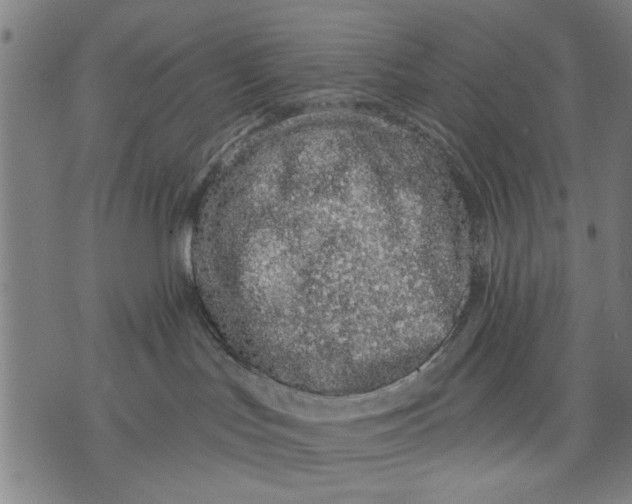 X0000071770047200607211543