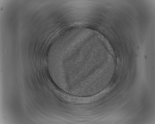 X0000071770048200607211543