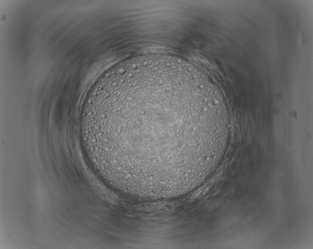 X0000071770049200607211542