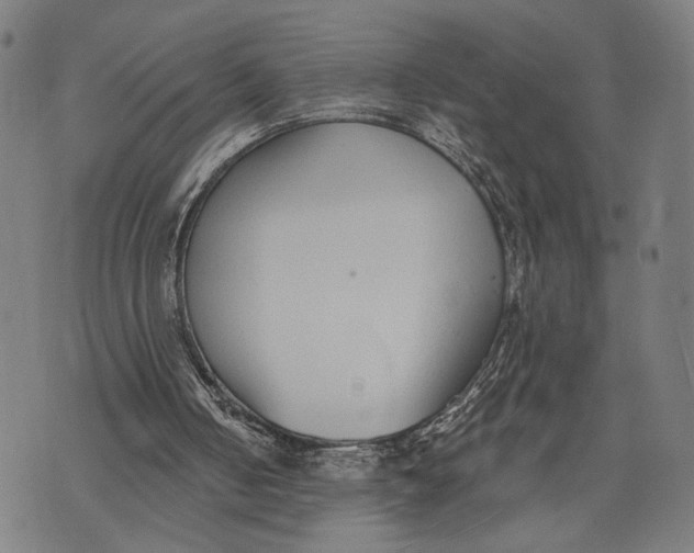 X0000071770050200607211542