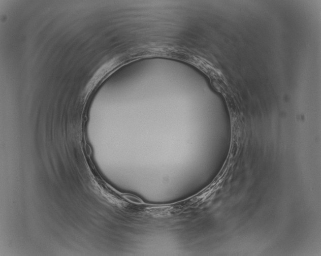 X0000071770051200607211542