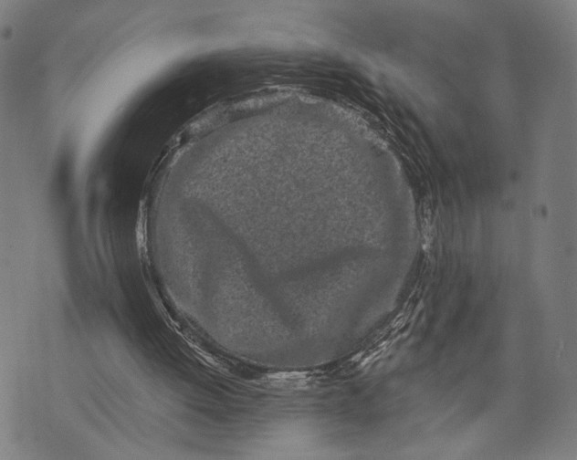 X0000071770052200607211542