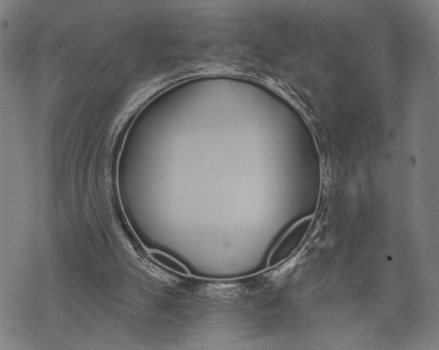 X0000071770055200607211542