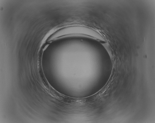 X0000071770056200607211542