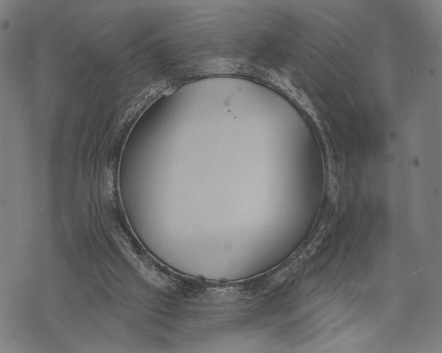 X0000071770057200607211542