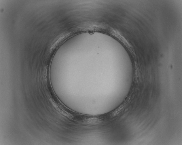 X0000071770058200607211542