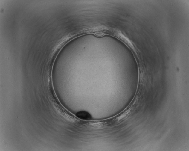 X0000071770059200607211542