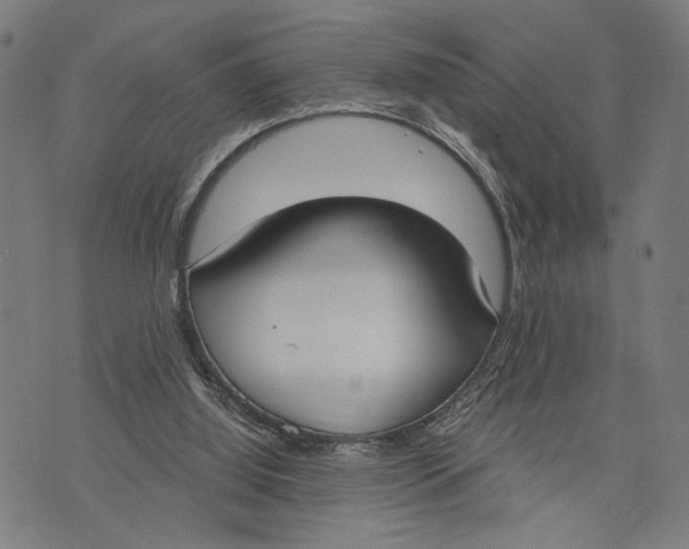 X0000071770060200607211542