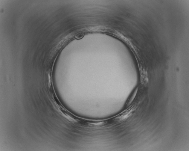 X0000071770061200607211542