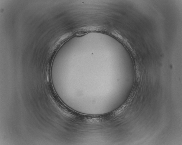 X0000071770062200607211542