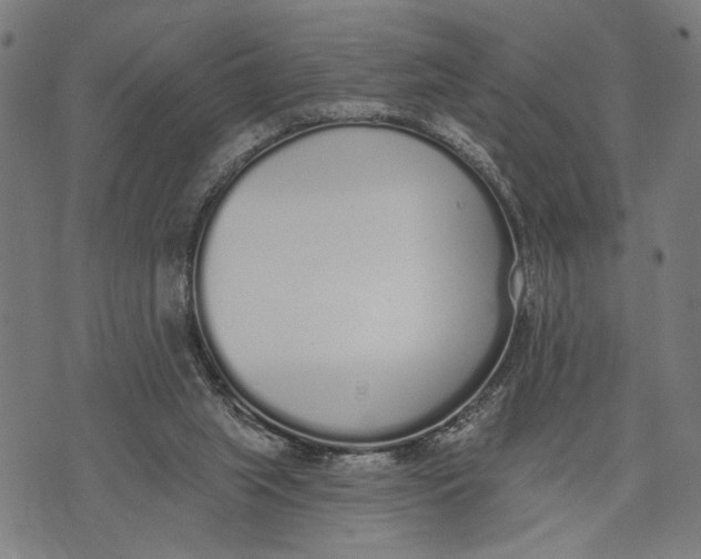 X0000071770063200607211542