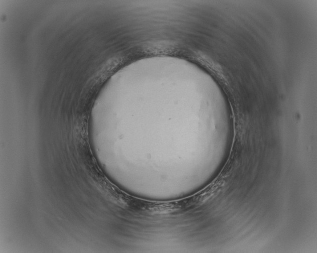 X0000071770065200607211542