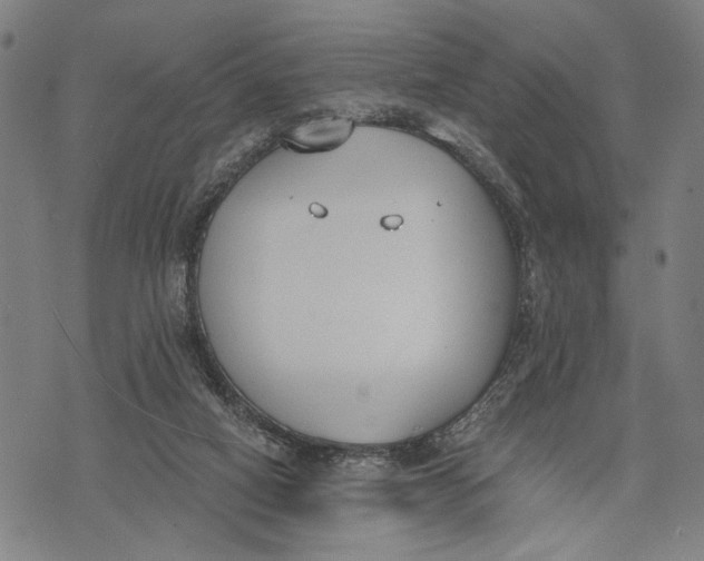 X0000071770066200607211542