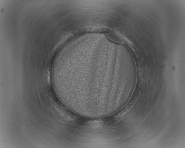 X0000071770067200607211542