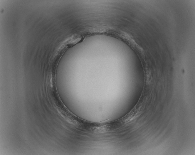 X0000071770068200607211542