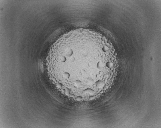 X0000071770069200607211542