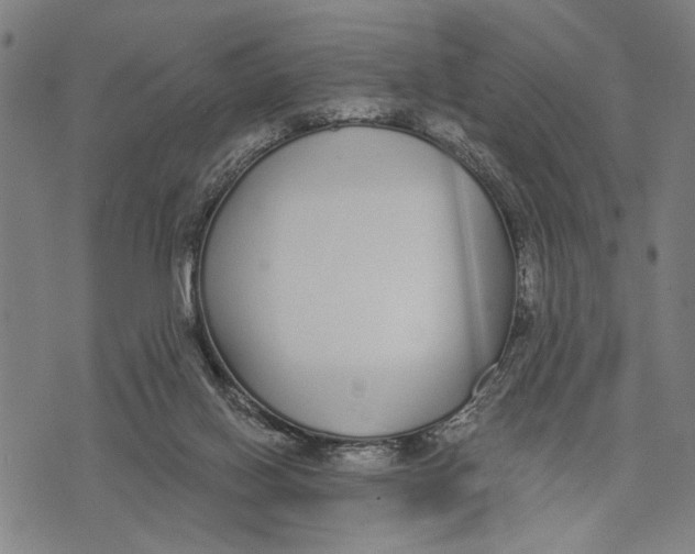 X0000071770070200607211542