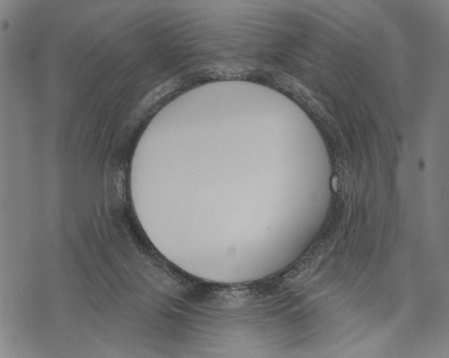 X0000071770071200607211542