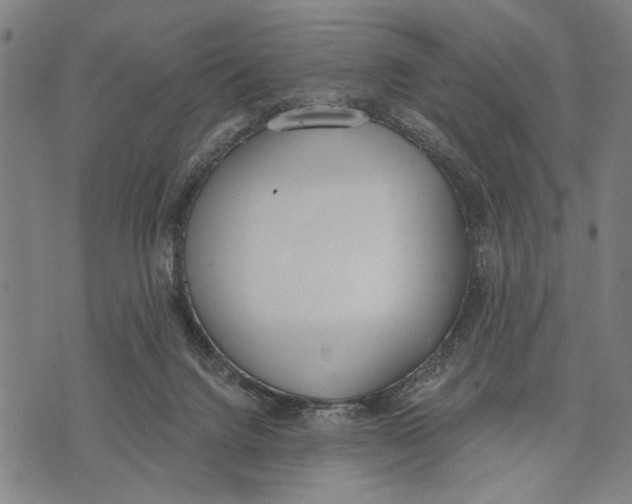 X0000071770072200607211542