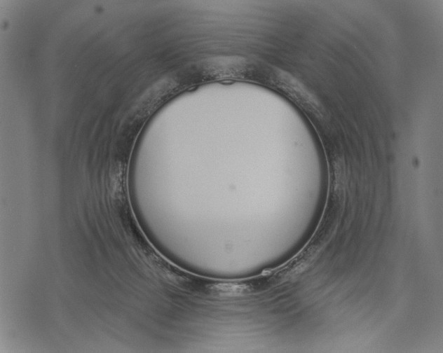 X0000071770073200607211542