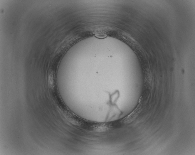 X0000071770074200607211542