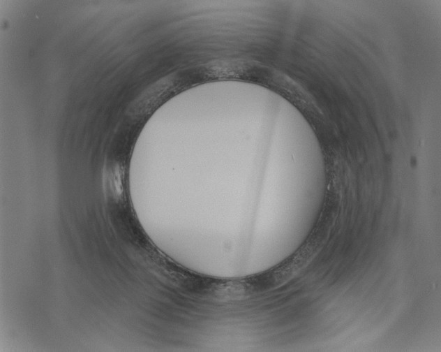 X0000071770075200607211542