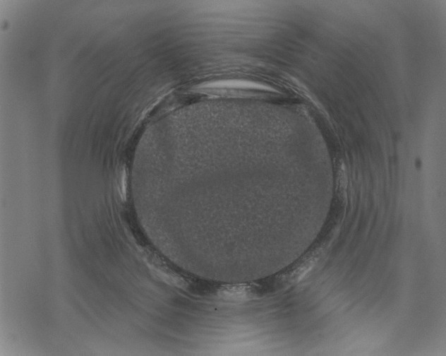 X0000071770076200607211542