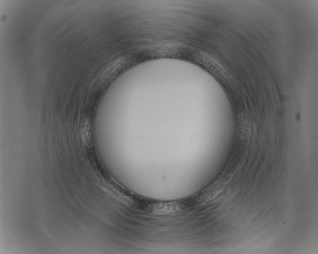 X0000071770077200607211542