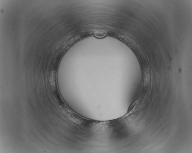 X0000071770078200607211542