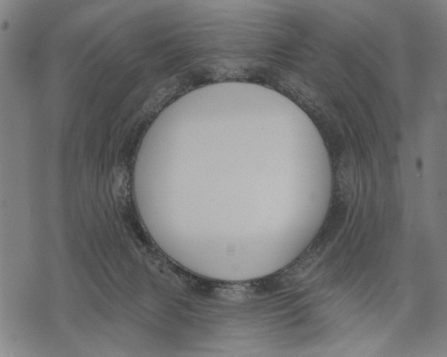 X0000071770079200607211542