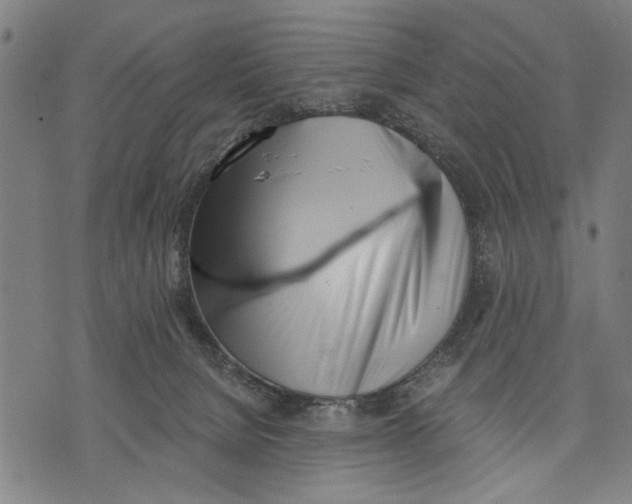 X0000071770080200607211542