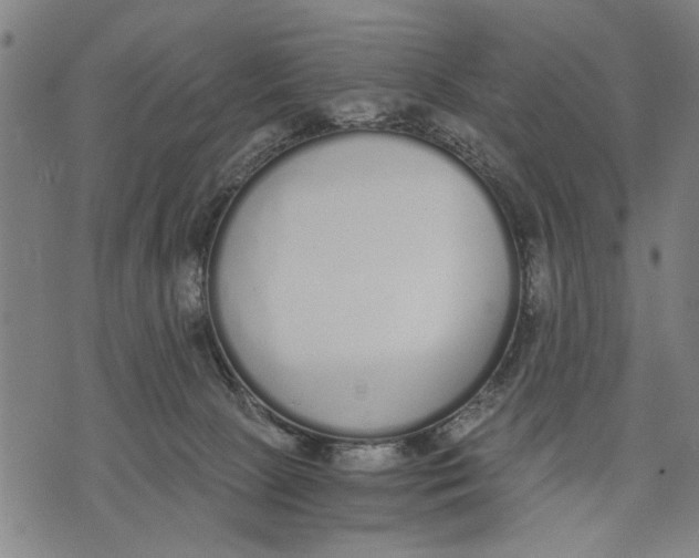 X0000071770081200607211542