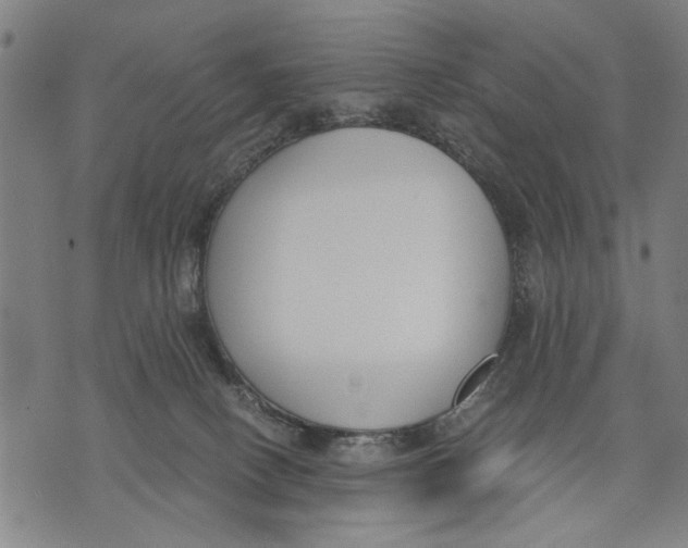 X0000071770082200607211542