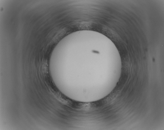 X0000071770083200607211542